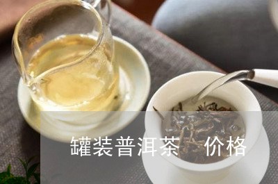 罐装普洱茶 价格/2023041032860